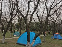 -洨河生态公园