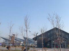-盐城丹顶鹤湿地生态旅游区