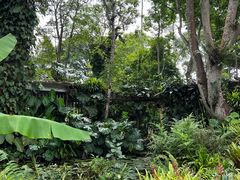 -中国科学院西双版纳热带植物园