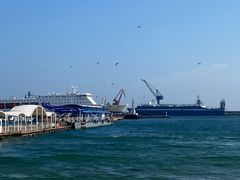 -海驴岛(荣成市)