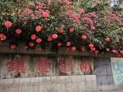 -友谊关景区