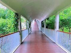 -东钱湖旅游度假区