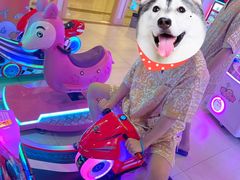 -美林大浴场(奥体中心店)