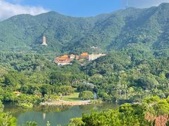 -深圳仙湖植物园