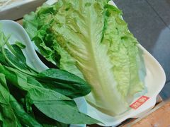 鸡毛菜-傣妹火锅(南京东路一店)