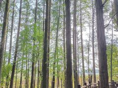 -东湖落雁景区