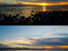 -宝安西湾红树林湿地公园