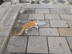-衣裳街历史文化街区