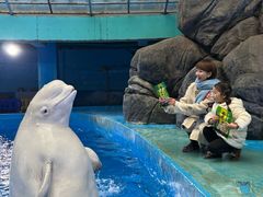 -海合安成都极地海洋公园