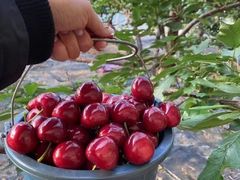 -陆家嘴金融服务广场