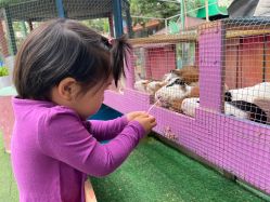 -萌宠亲子动物乐园(槐房万达店)