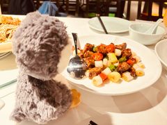 -羲和雅苑•北京烤鸭(陆家嘴中心店)