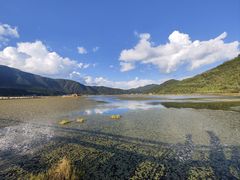 -腾冲北海湿地