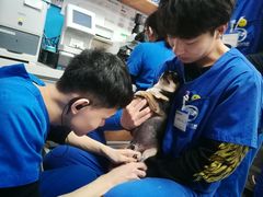 -宠福鑫动物医院·动物疾病诊疗中心(天通苑店)