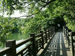 -白马涧龙池景区