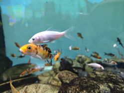 -Zoolung Zoolung动物主题公园(海信广场店)