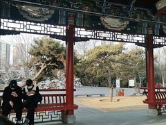 -迎泽公园