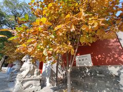-红螺寺