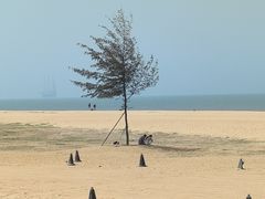 -白沙门生态公园