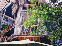 -Rainforest