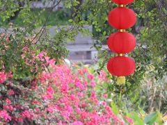 -荔湾湖公园