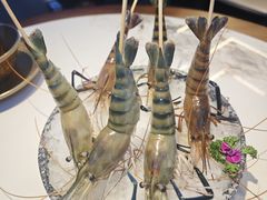 -琥珀川糟粕醋火锅(慈云寺店)