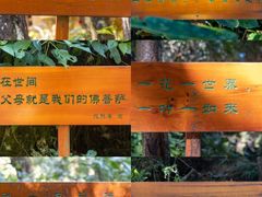 -寂照庵