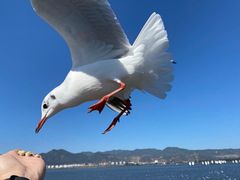 -海埂大坝