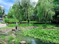 -苏州河梦清园环保主题公园