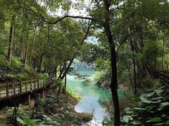 -广州市流溪河国家森林公园