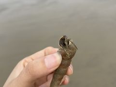 -北海银滩一号国际会议中心酒店
