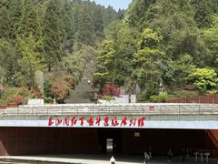 -娄山关景区