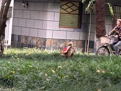 -杭州城北体育公园