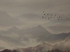 -便宜坊烤鸭店(科创店)