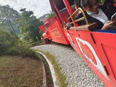 -深圳东部华侨城茵特拉根酒店