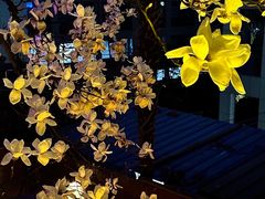 -秀·爱尔兰餐吧(上海路店)