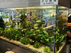 -大家乐(江门汇悦城店)