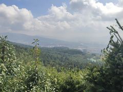-长虫山生态公园风景林