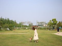 -上海长兴岛郊野公园