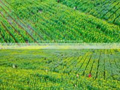 -汉长安城未央宫国家考古遗址公园