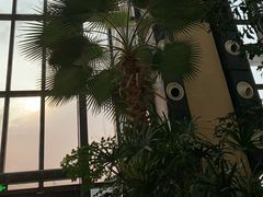 -郑州银基黄帝宫御温泉