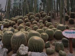 -南山植物园