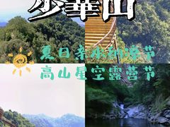 -少华山国家森林公园