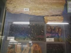 -北京中医药大学-中医药博物馆