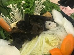 -呷哺呷哺(新世界百货望京店)