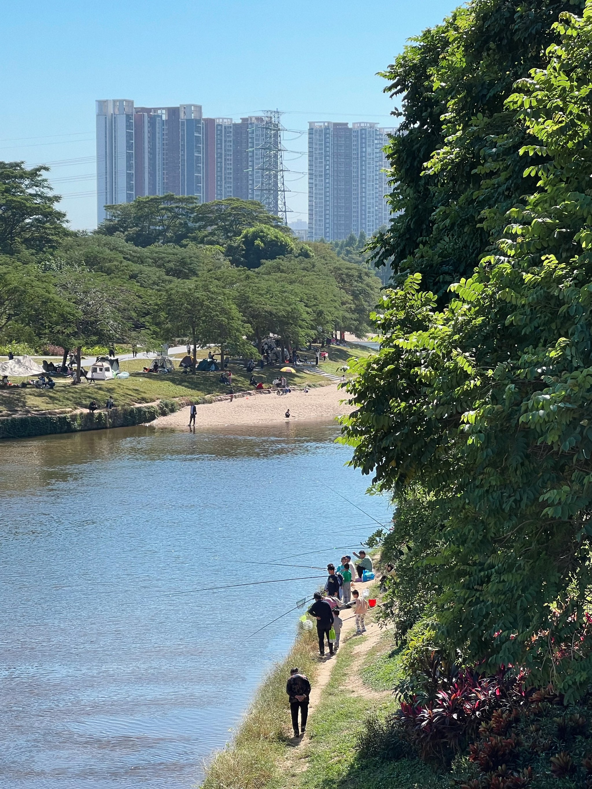 观澜河湿地公园图片