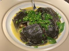 -潇湘甲鱼村(清河店)