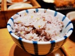 杂粮饭-胜博殿日式炸猪排(西红门店)