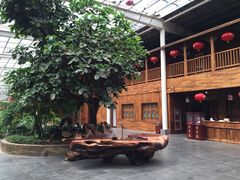 iphone_upload_pic-龙达温泉生态城