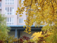-四川大学(望江校区)